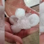 WhatsApp Image 2026-04-04 at 14.49.07