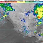 WhatsApp Image 2026-04-06 at 07.56.25