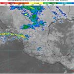 WhatsApp Image 2026-04-07 at 07.42.06