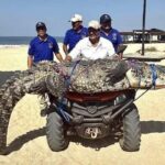 WhatsApp Image 2026-04-07 at 09.53.22