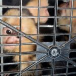 WhatsApp Image 2026-04-07 at 10.45.45