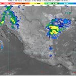 WhatsApp Image 2026-04-10 at 08.19.39