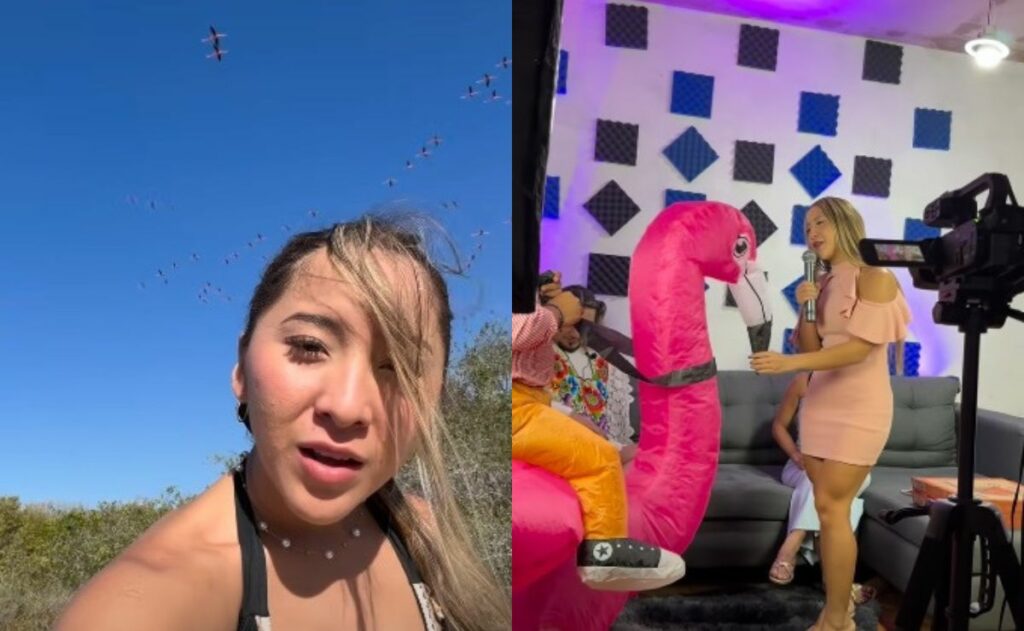 WhatsApp Image 2026-04-13 at 10.23.33