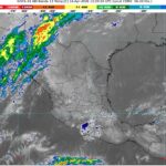 WhatsApp Image 2026-04-14 at 08.02.28