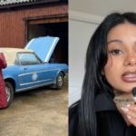 WhatsApp Image 2026-04-14 at 08.36.39