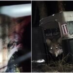 WhatsApp Image 2026-04-14 at 14.30.47