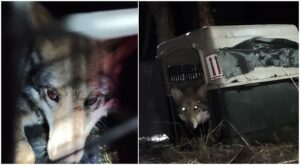 WhatsApp Image 2026-04-14 at 14.30.47