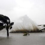 WhatsApp Image 2026-04-16 at 09.01.15