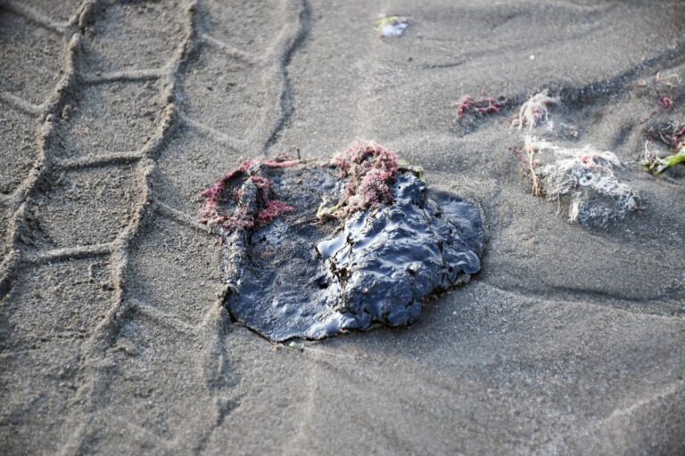 WhatsApp Image 2026-04-17 at 08.24.22