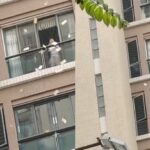 WhatsApp Image 2026-04-17 at 09.46.21