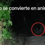 WhatsApp Image 2026-04-18 at 21.43.51