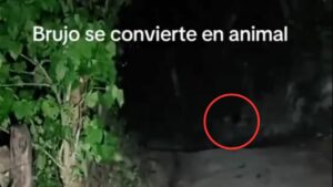 WhatsApp Image 2026-04-18 at 21.43.51