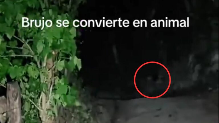 WhatsApp Image 2026-04-18 at 21.43.51