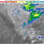 WhatsApp Image 2026-04-20 at 08.19.54