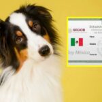 WhatsApp Image 2026-04-21 at 08.58.32