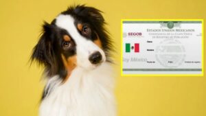 WhatsApp Image 2026-04-21 at 08.58.32