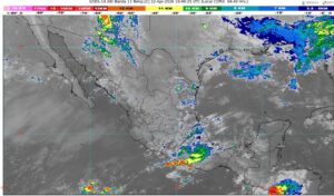 WhatsApp Image 2026-04-22 at 07.29.31