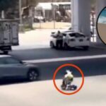 WhatsApp Image 2026-04-22 at 10.10.46