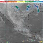 WhatsApp Image 2026-04-24 at 08.05.36 (1)