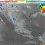 WhatsApp Image 2026-04-25 at 08.07.35