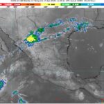 WhatsApp Image 2026-04-27 at 08.05.44