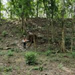 WhatsApp Image 2026-04-29 at 08.37.04