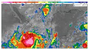 WhatsApp Image 2026-09-30 at 07.14.52